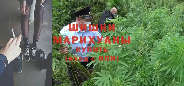спиды Ладушкин