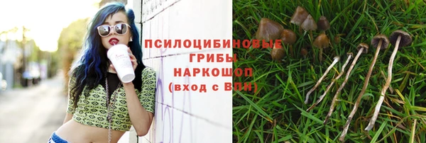 спиды Ладушкин