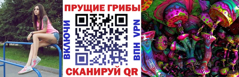 Псилоцибиновые грибы Magic Shrooms  Лосино-Петровский 